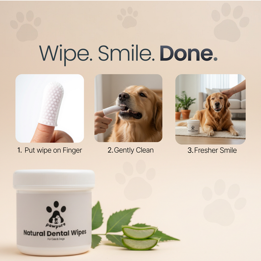 PawPure Dental Wipes